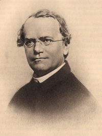 Gregor Mendel, 1822 - 1884