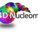 4dn-logo_1
