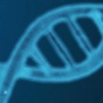 def-micro-genetics