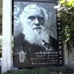def-origins-evolution-darwin