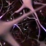 NeuralNetwork-icon