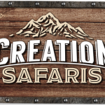 Creation Safari Wall Sign Oct2017-sm