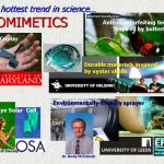 Biomimetics-web_Page_5
