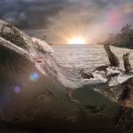 Misinterpreting Fossil Graveyards