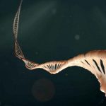 Cell-DNA-strands-unfolded-2-web-ico