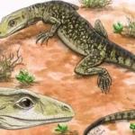 Lizard-early-fossil-artwork-20221201