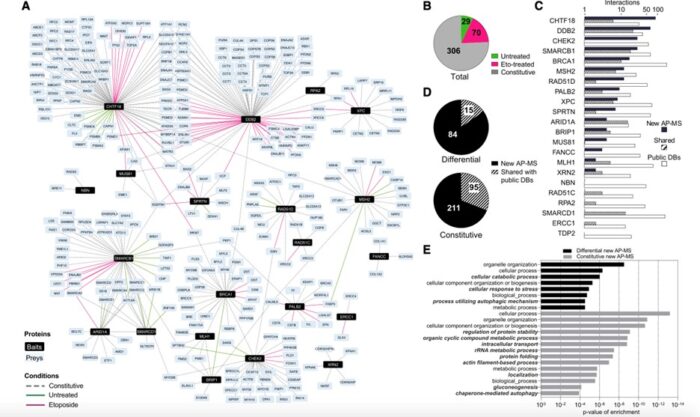 Dna Damage Graph New Sensor Lets Researchers Watch DNA Repair Itself in Real Time – CEH