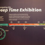 2021-10-07-FLDC-117-WashDC-SmMuseumNatlHist-Fossil_Hall-evolution-DeepTime-crop-tn