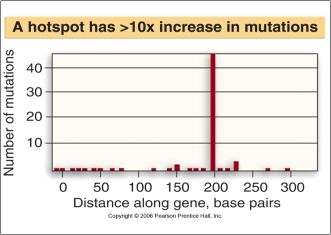 Why Mutation Hot Spots Are Lethal to Evolution – CEH