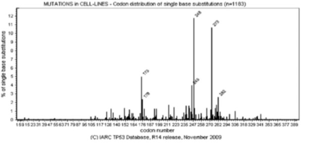 Why Mutation Hot Spots Are Lethal to Evolution – CEH