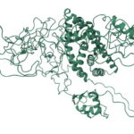 DisorderedProtein-humanandrogenreceptor